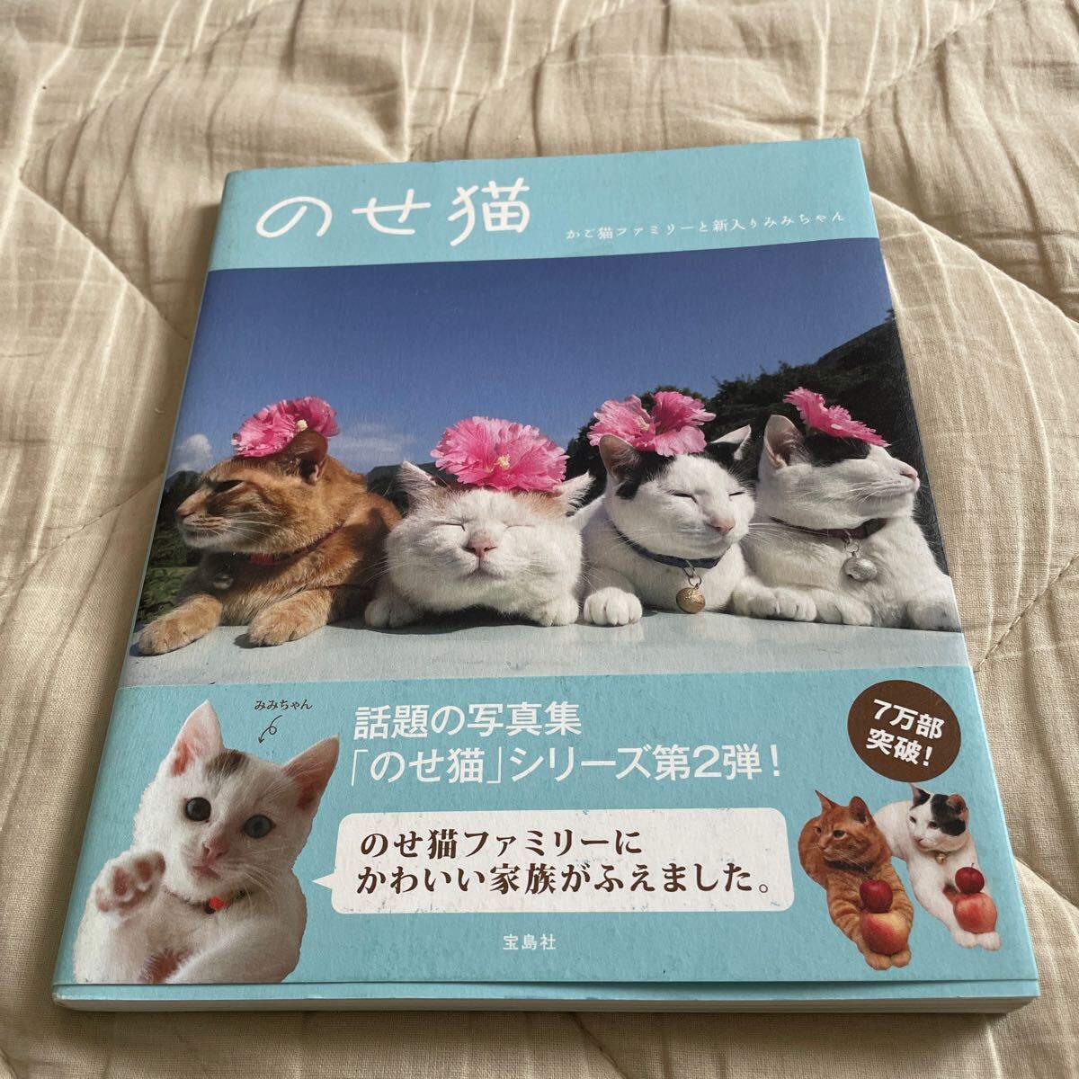 のせ猫 かご猫ファミリーと新入りみみちゃん SHIRONEKO/著 美品拍卖