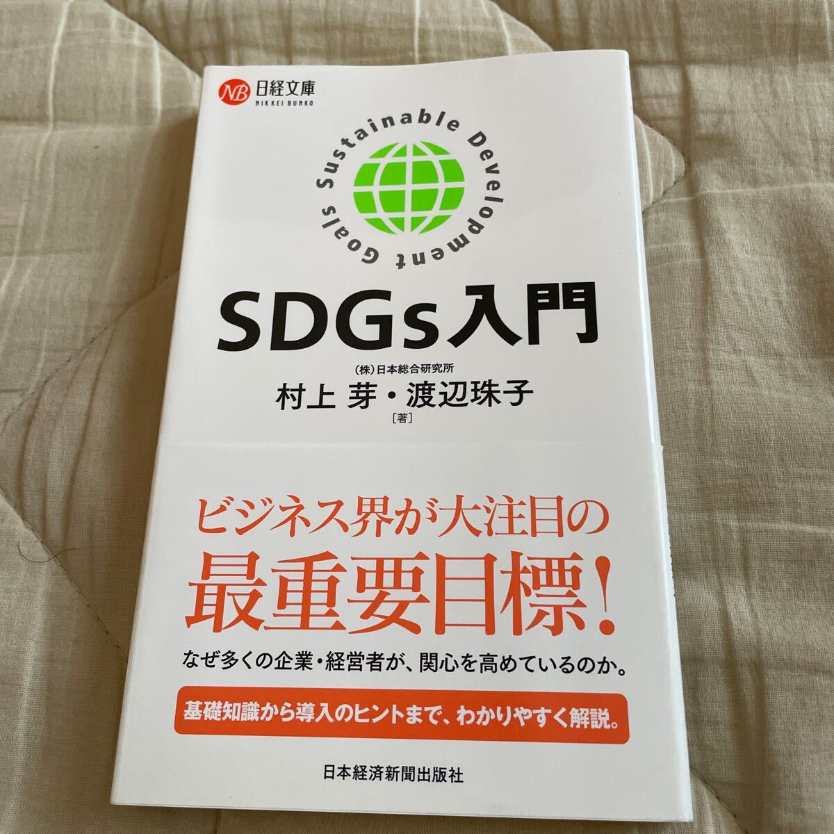 SDGs入門 (日経文庫 1408) 村上芽/著 渡辺珠子/著 帯付拍卖