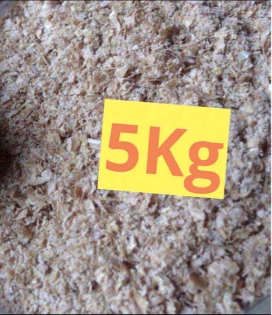 送料込み フスマ 5kg 追加可 床材 ミルワーム コオロギ ハムスター 同梱可拍卖