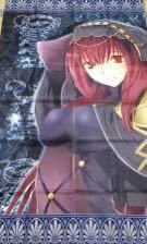 Fate/Grand Order スカサハ のれん 暖簾 FGO 新品・未使用 約150×86cm カーテン拍卖