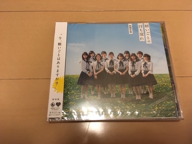 新品 未開封 願いごとの持ち腐れ (劇場盤) AKB48拍卖
