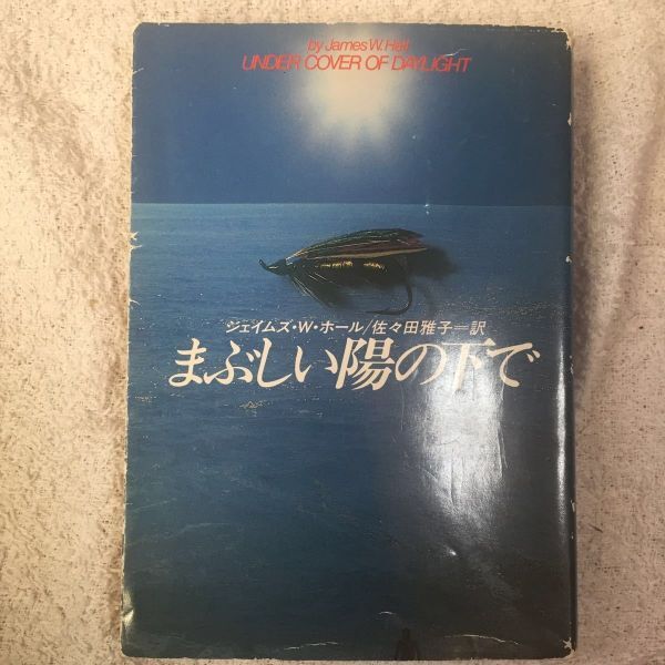 まぶしい陽の下で (ハヤカワ・ミステリ文庫) ジェイムズ・W. ホール 佐々田 雅子 訳あり 9784150778514拍卖
