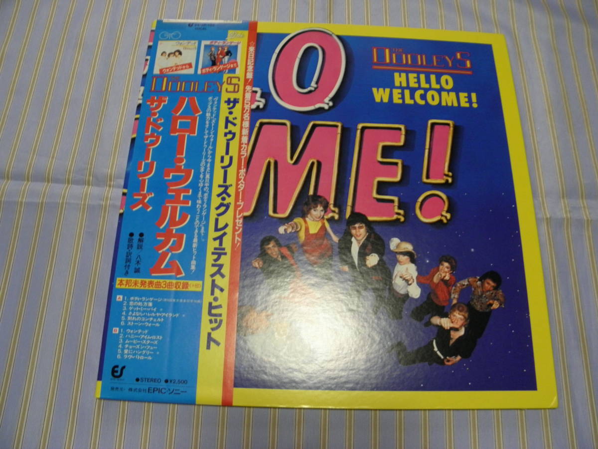 帯有LP■ザ・ドゥーリーズ/ハロー・ウェルカム(グレイテスト)■極美品■P-089拍卖