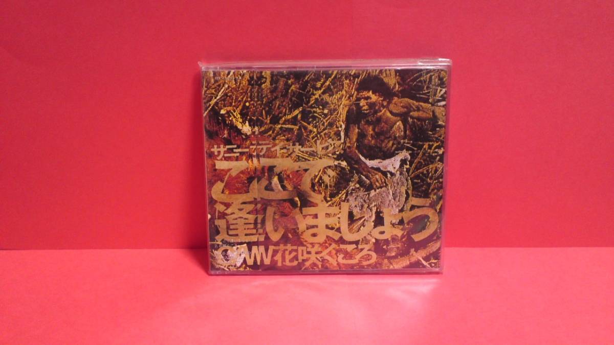 サニーデイ・サービス「ここで逢いましょう/花咲くころ」未開封拍卖