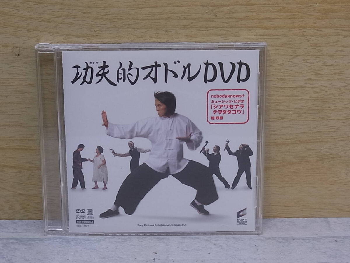 △G/642●邦楽DVD☆ノーバディーノウズ nobodyknows+☆功夫的オドルDVD☆非売品☆中古品拍卖