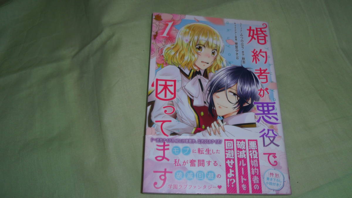 婚約者が悪役で困ってます1巻拍卖
