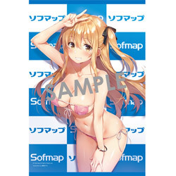 C95/コミケ/ソフマップ/ガールズコレクション/憂姫はぐれ/B2タペストリー/WIREFRAME拍卖