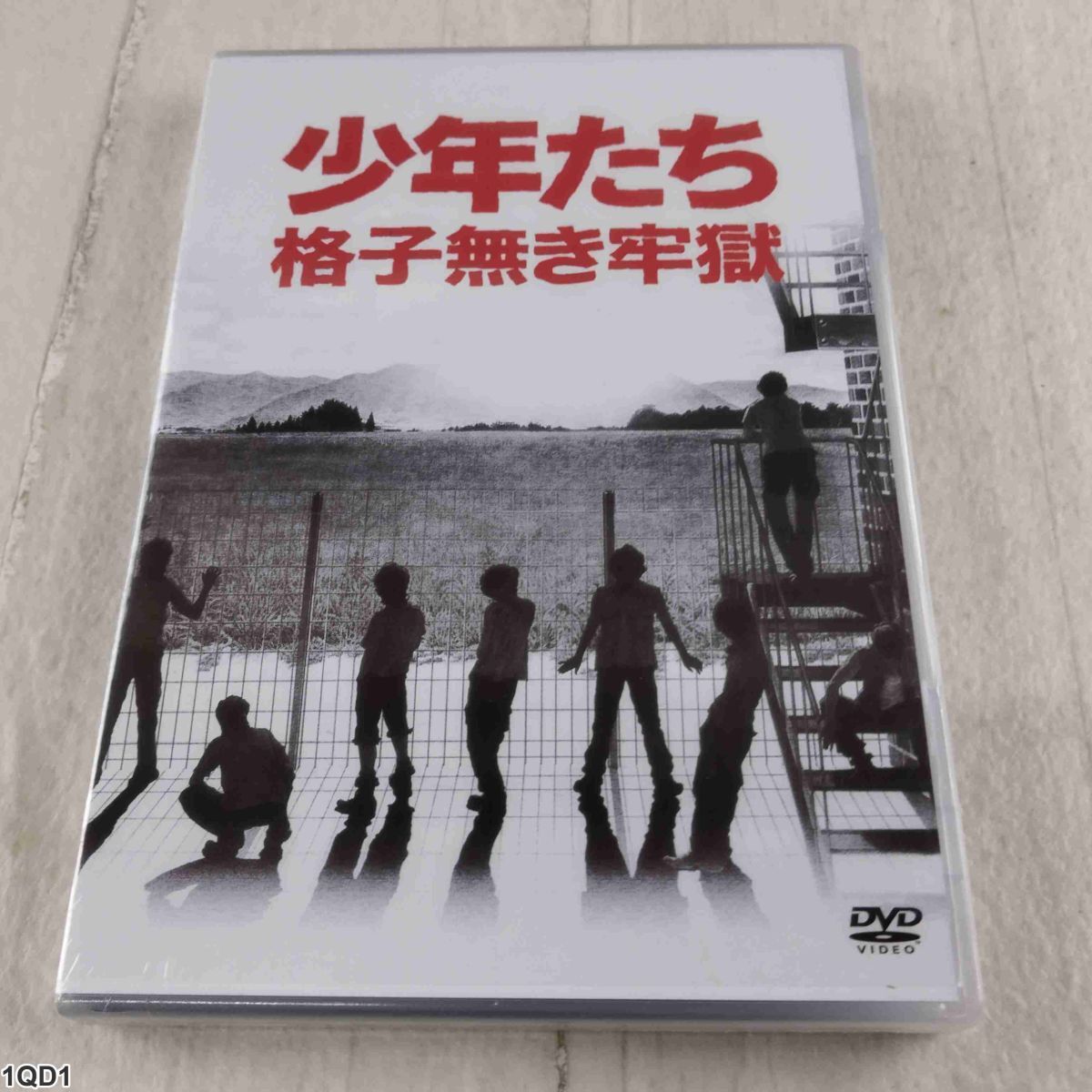 1QD1 未開封 DVD 少年たち 格子無き牢獄 ジャニーズ JEBN-0117拍卖