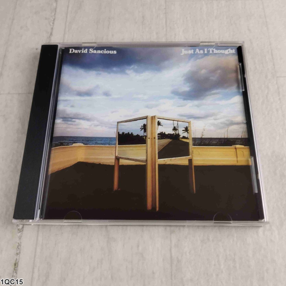 1QC15 CD David Sancious Just As I Thought拍卖