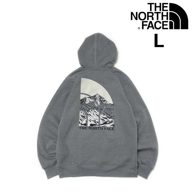 売切り【正規新品】THE NORTH FACE◆NOVELTY GRAPHIC HOODIE プルオーバー パーカー US限定 グラフィック 男女兼用 登山(L)グレー181130-33拍卖
