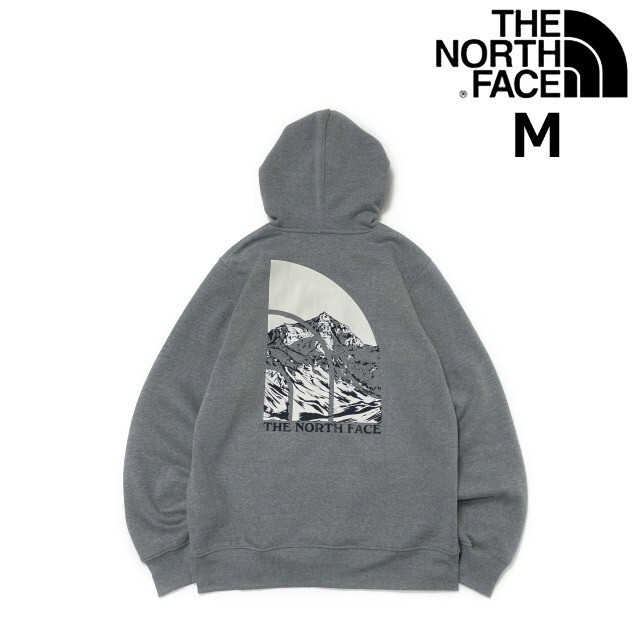 売切り【正規新品】THE NORTH FACE◆NOVELTY GRAPHIC HOODIE プルオーバー パーカー US限定 グラフィック 男女兼用 登山(M)グレー181130-33拍卖