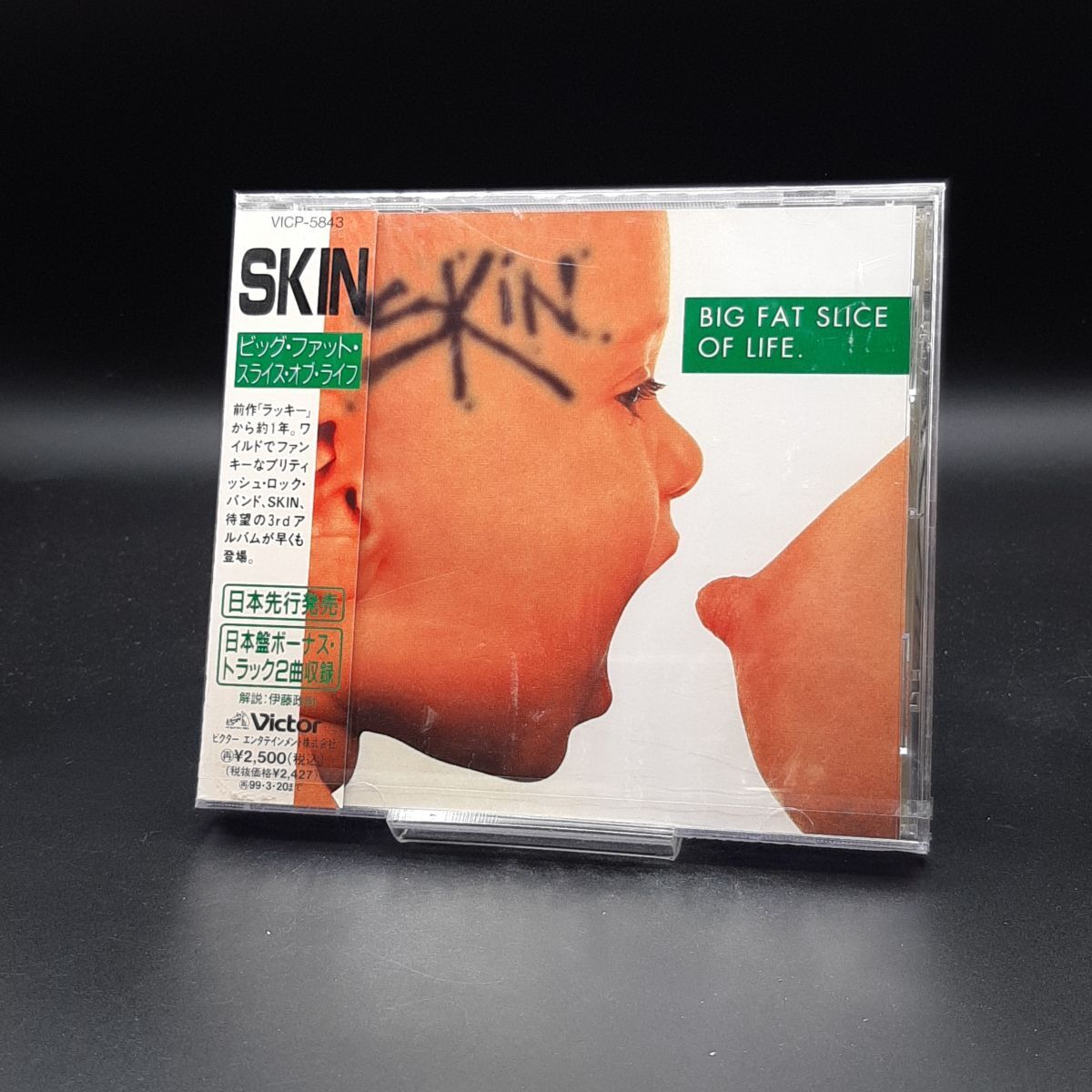 SA32【未開封】SKIN/ビッグ・ファット・スライス・オブ・ライフ拍卖