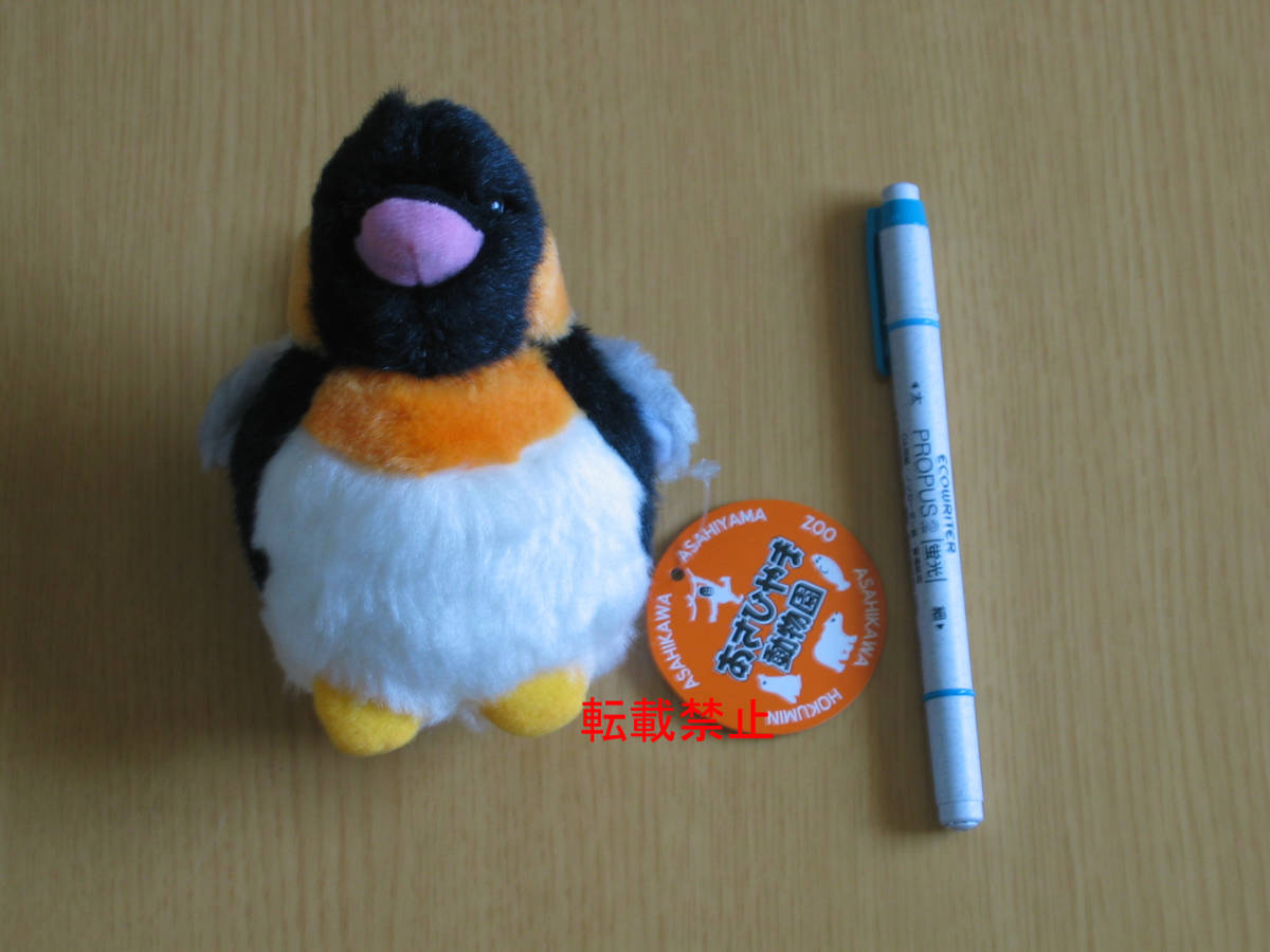 4★ご当地ぬいぐるみ★【北海道】 「キングペンギン」《旭山動物園》 (高さ:13cm)拍卖