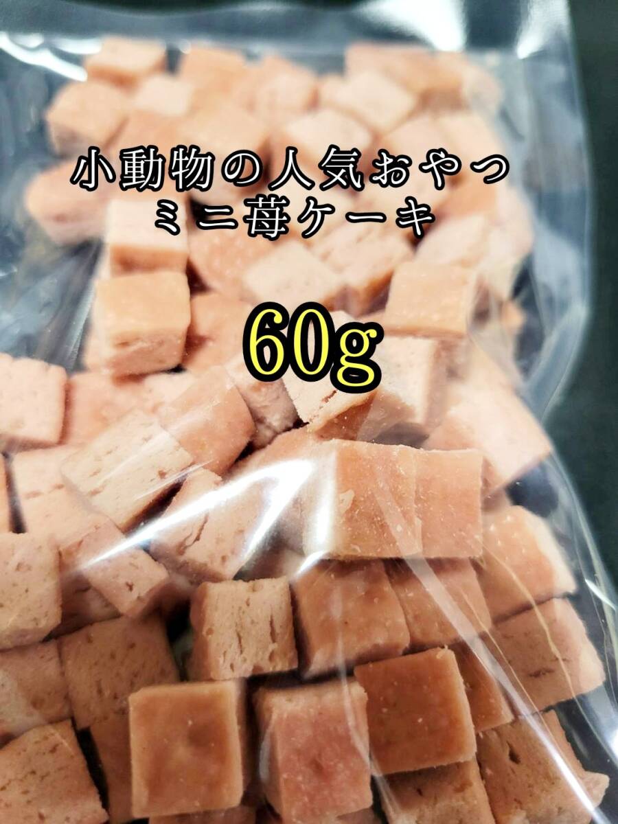 小動物のおやつ 苺ケーキ60g フクロモモンガ ハムスター ハリネズミ フェレット うさぎ モルモット チンチラ デグー拍卖