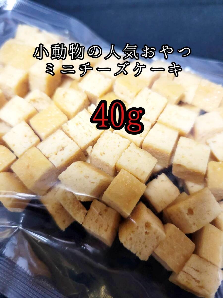 小動物のおやつ チーズケーキ40g フクロモモンガ ハムスター ハリネズミ フェレット うさぎ モルモット チンチラ デグー拍卖