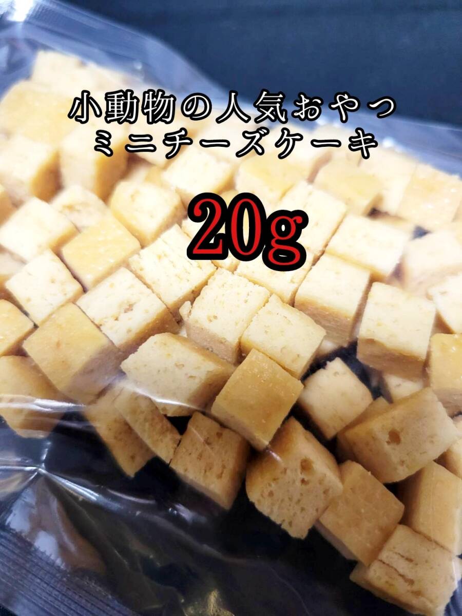 小動物のおやつ チーズケーキ20g フクロモモンガ ハムスター ハリネズミ フェレット うさぎ モルモット チンチラ デグー拍卖