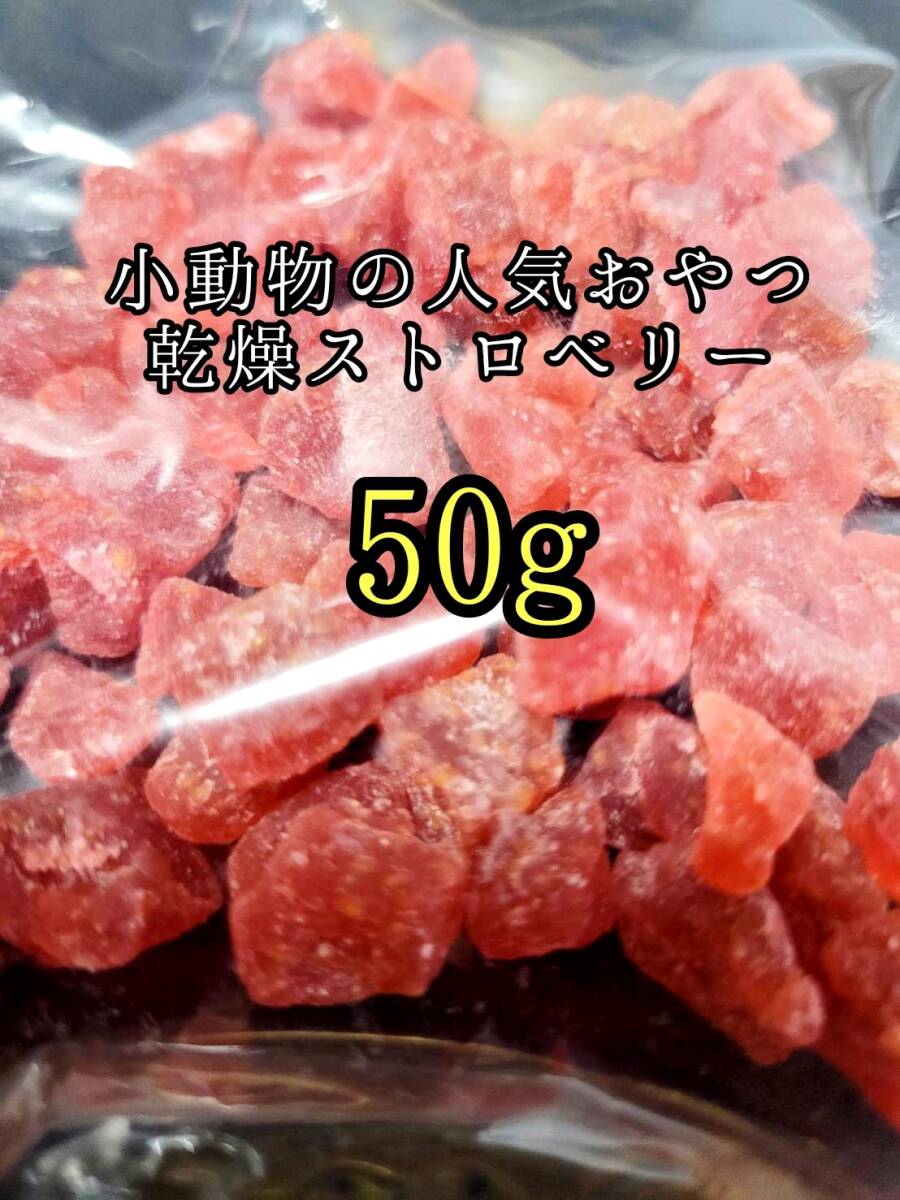 小動物のおやつ ドライ苺50g ドライフルーツ フクロモモンガ ハムスター うさぎ モルモット拍卖