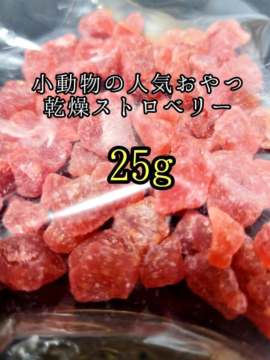 小動物のおやつ ドライ苺25g ドライフルーツ フクロモモンガ ハムスター うさぎ モルモット拍卖