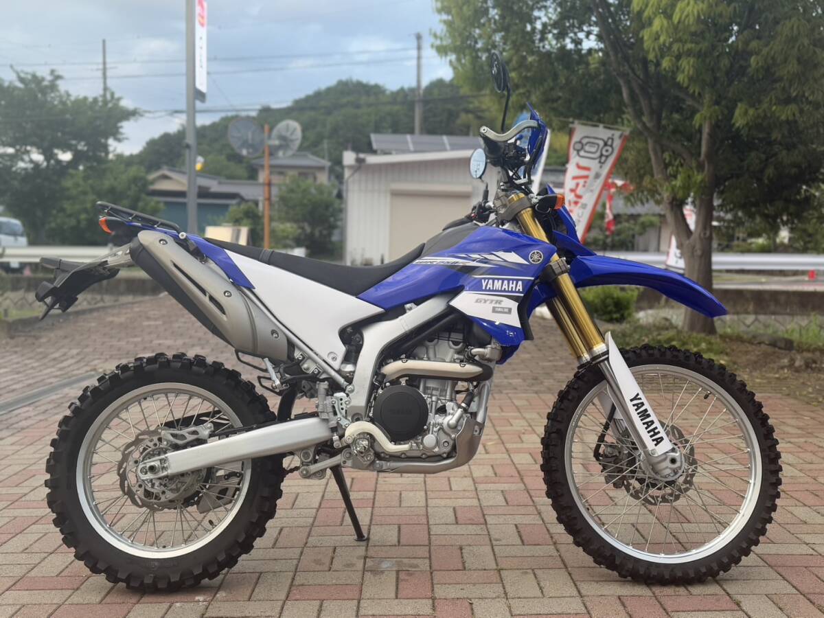 YAMAHA WR250R DG15J 程度良好 実走行距離3,600㎞ リアキャリア ZETA XCプロテクター&レバー ヤマハ オフ車拍卖