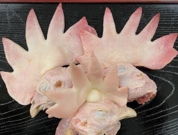 北海道産親鶏頭 ひねどり 鶏かしら 鳥頭 処理工場からの仕入れ直送!!1kg〜 10キロ迄送料同額にて同梱も可能!!拍卖