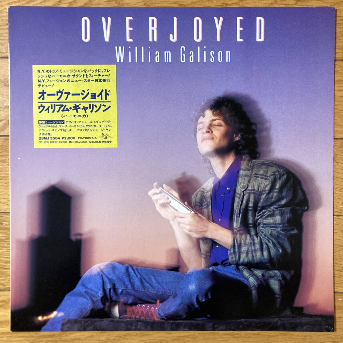 ■ウィリアム・ギャリソン■オーヴァージョイド■William Galison■Overjoyed■28MJ 3584■Fusion拍卖