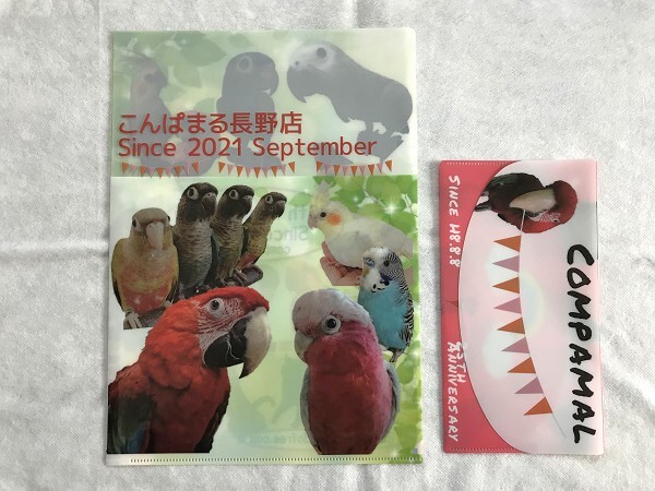 【非売品/未使用】 クリアファイル ミニクリアファイル 2枚セット 鳥 こんぱまる バード ショップ(インコ/オウム/コンゴウ/モモイロ/猫)7拍卖