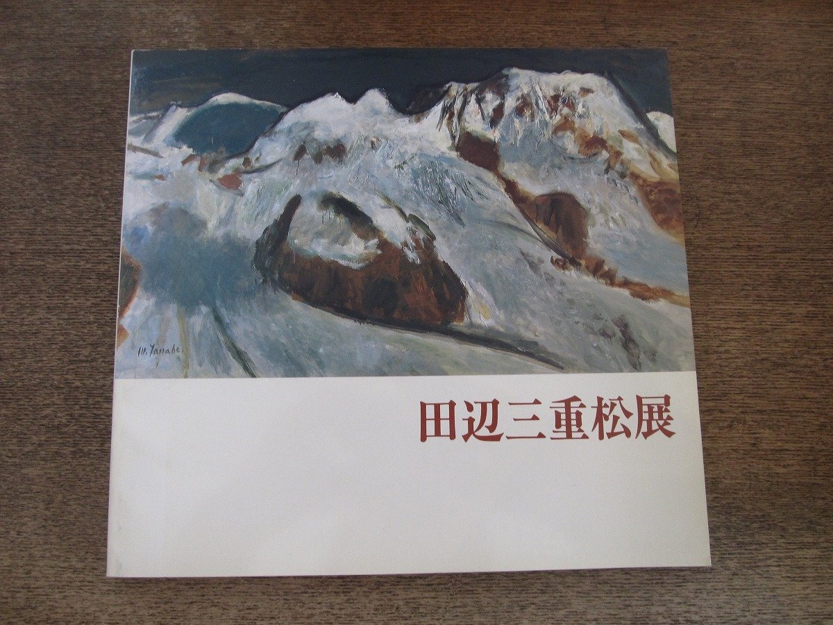 2506MK●図録「没後20年 田辺三重松展」1991/北海道立函館美術館 ほか●テキスト:中塚宏行 大熊敏之/油彩拍卖