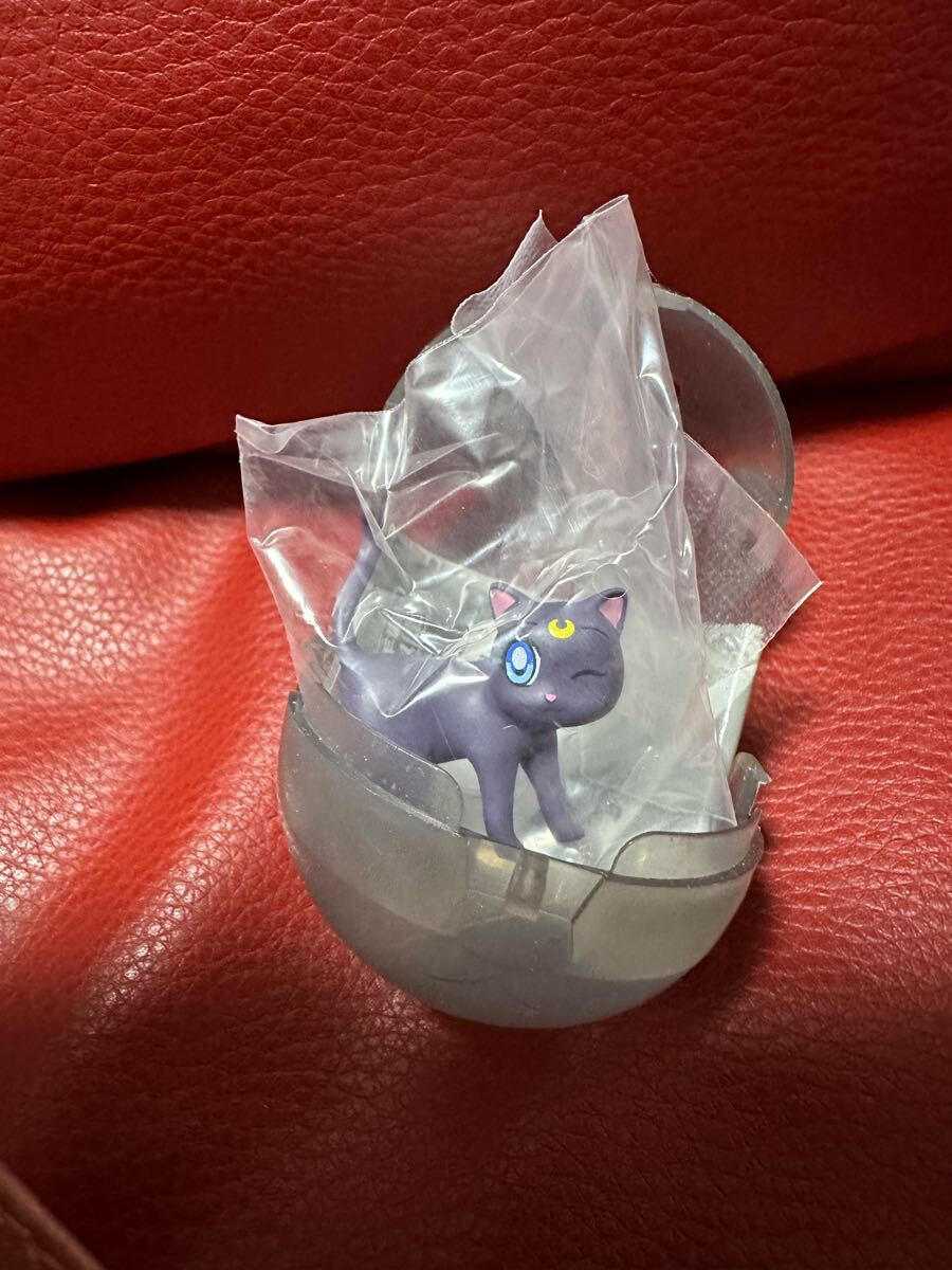 新品!セーラームーン ハグコット2 ルナ フィギュア拍卖