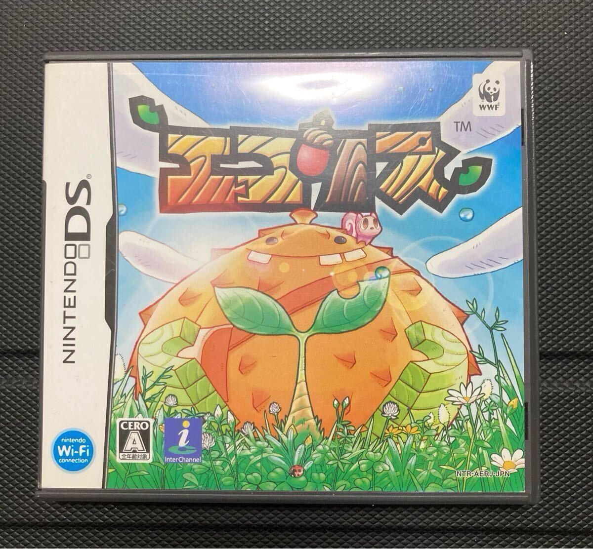 DS エコリス拍卖