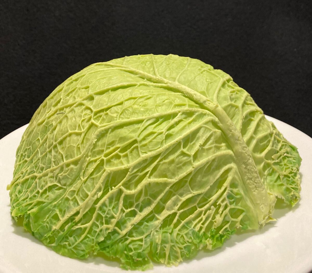 食品サンプル ディスプレイ用キャベツ葉拍卖