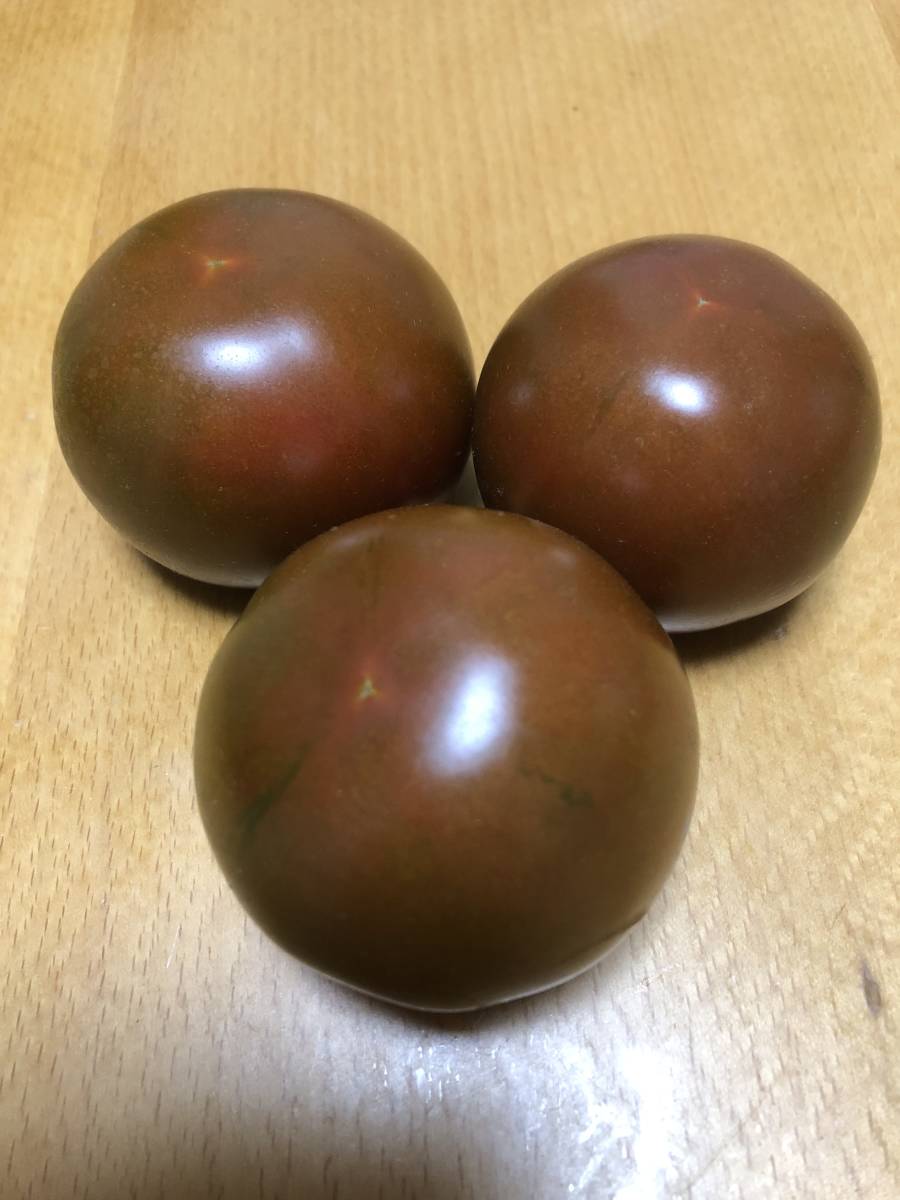 即決★チョコレートトマト 種子5粒☆野菜種子 同梱可拍卖