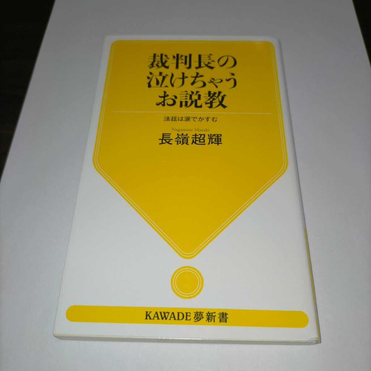 裁判長の泣けちゃうお説教 法廷は涙でかすむ (KAWADE夢新書 S446) 長嶺超輝/著 保管j拍卖