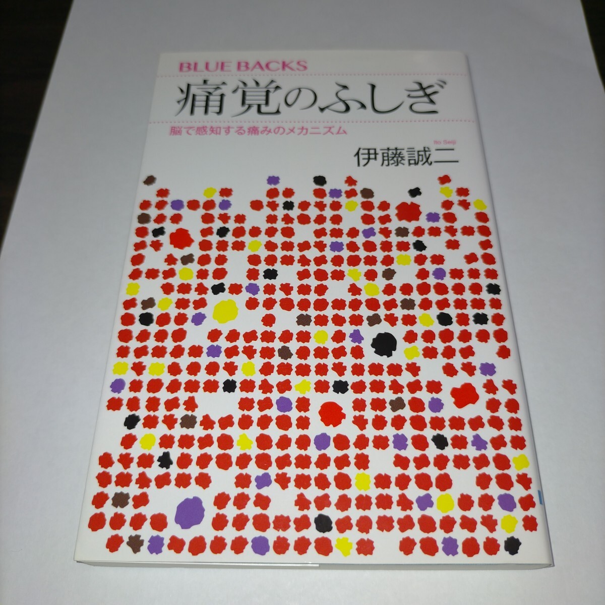痛覚のふしぎ 脳で感知する痛みのメカニズム (ブルーバックス B-2007) 伊藤誠二/著 保管x拍卖