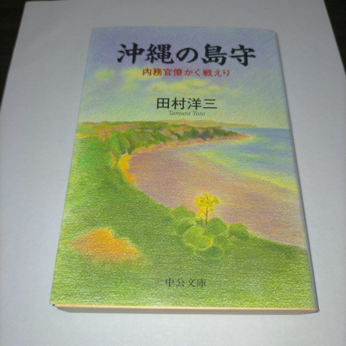 沖縄の島守 内務官僚かく戦えり (中公文庫 た73-1) 田村洋三/著 保管z拍卖