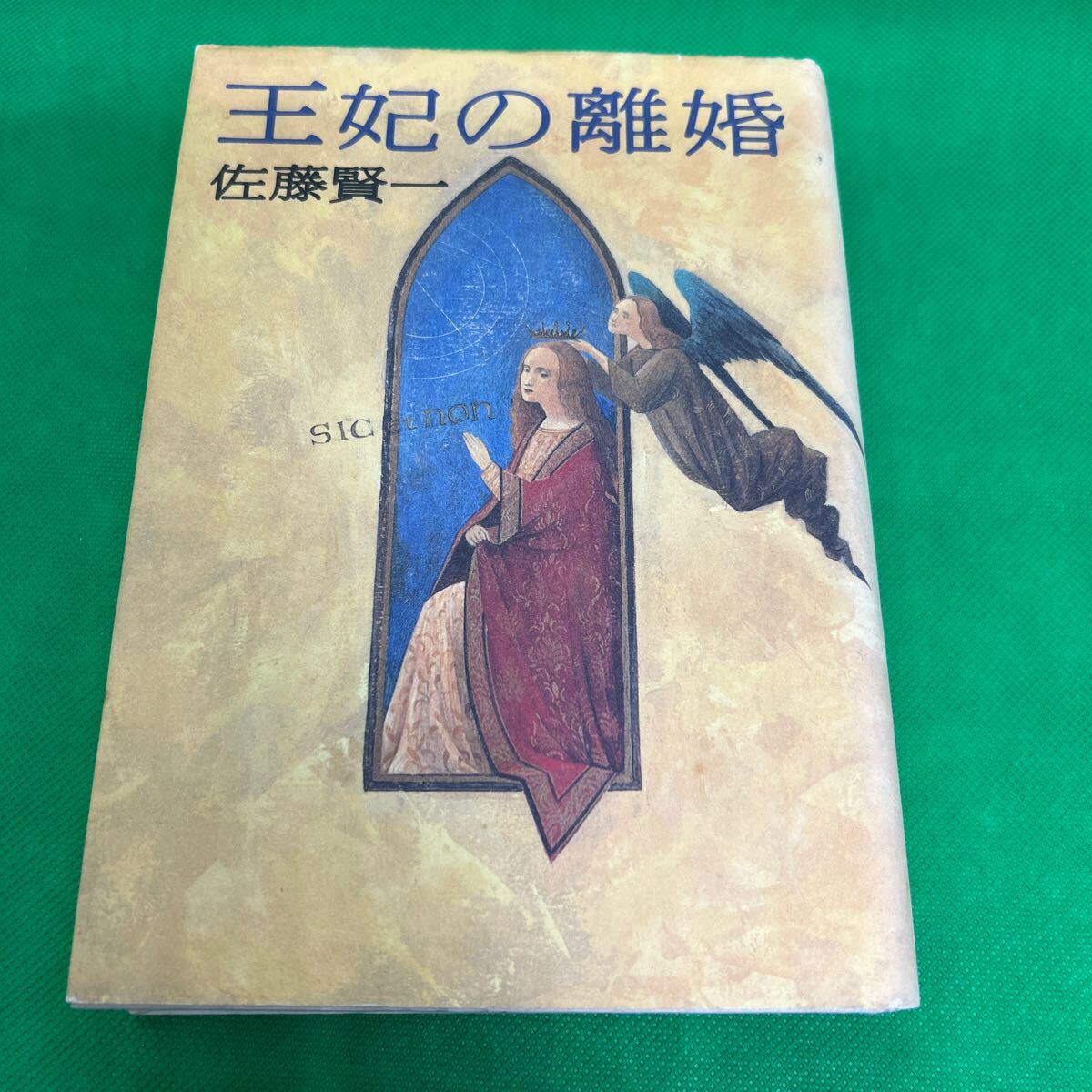 王妃の離婚/佐藤 賢一/集英社/I250506-6*6拍卖