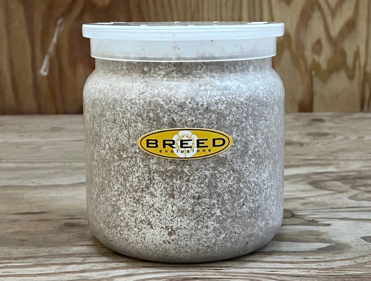 高品質・高性能 BREED菌糸ビン NEW1500ml 1本《能勢YG90.3mm作出》希望本数注文可能(ブリード 菌糸瓶 菌床)拍卖