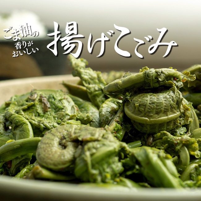 揚げこごみ 200g (山の香り)山の幸「コゴミ」をじっくり丁寧に油で揚げ美味しく仕上げました 山菜好きにはたまらない【メール便対応】拍卖
