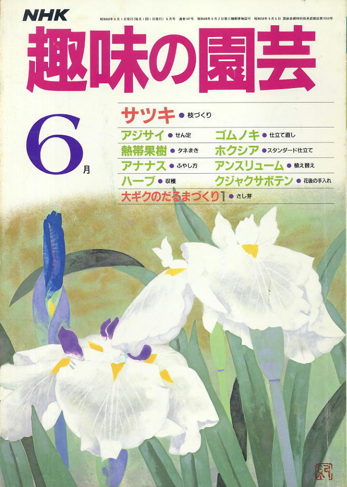 【趣味の園芸】昭和60年6月 ★ サツキ・アジサイ・ゴムノキ・ホクシア・大ギク・熱帯果樹・アンスリュームなど拍卖