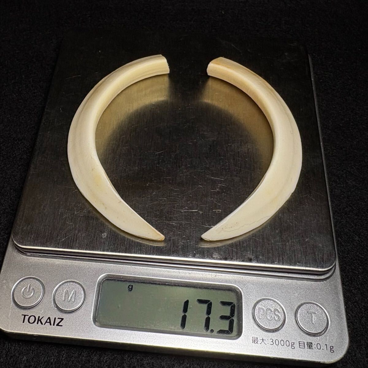 【イノシシの牙2本セット 計17.3g】猪 歯 牙 骨格 標本拍卖