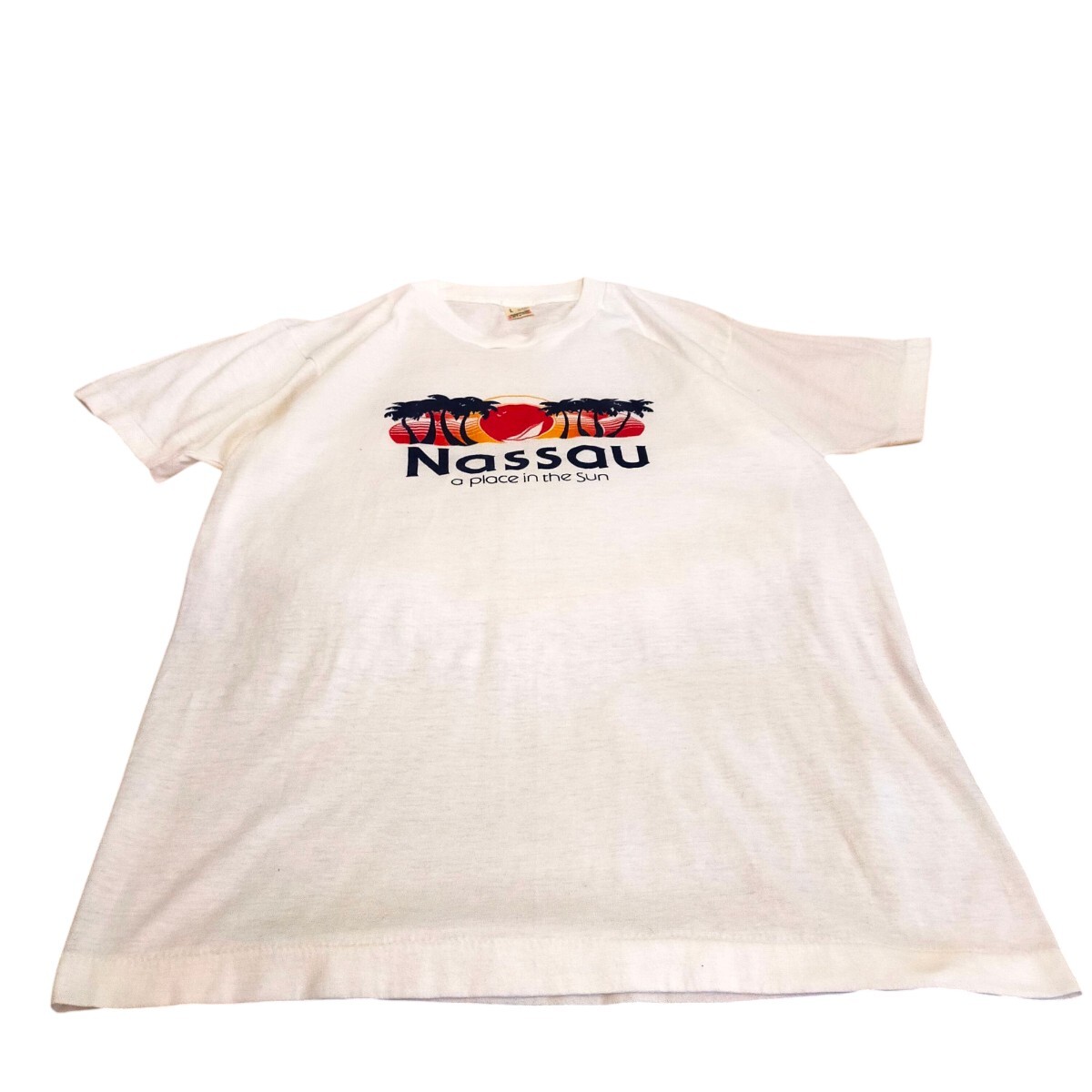 古着 screen stars 半袖Tシャツ スーベニア シングルステッチ アメリカ製 80s拍卖