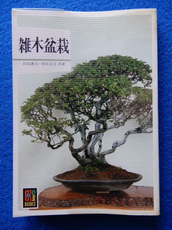 2▼ 雑木盆栽 村田憲司,村田圭司 / 保育社カラーブックス 452 昭和54年,初版,ビニールカバー付 もみじ,はぜ,楓,欅,ぶな,他拍卖