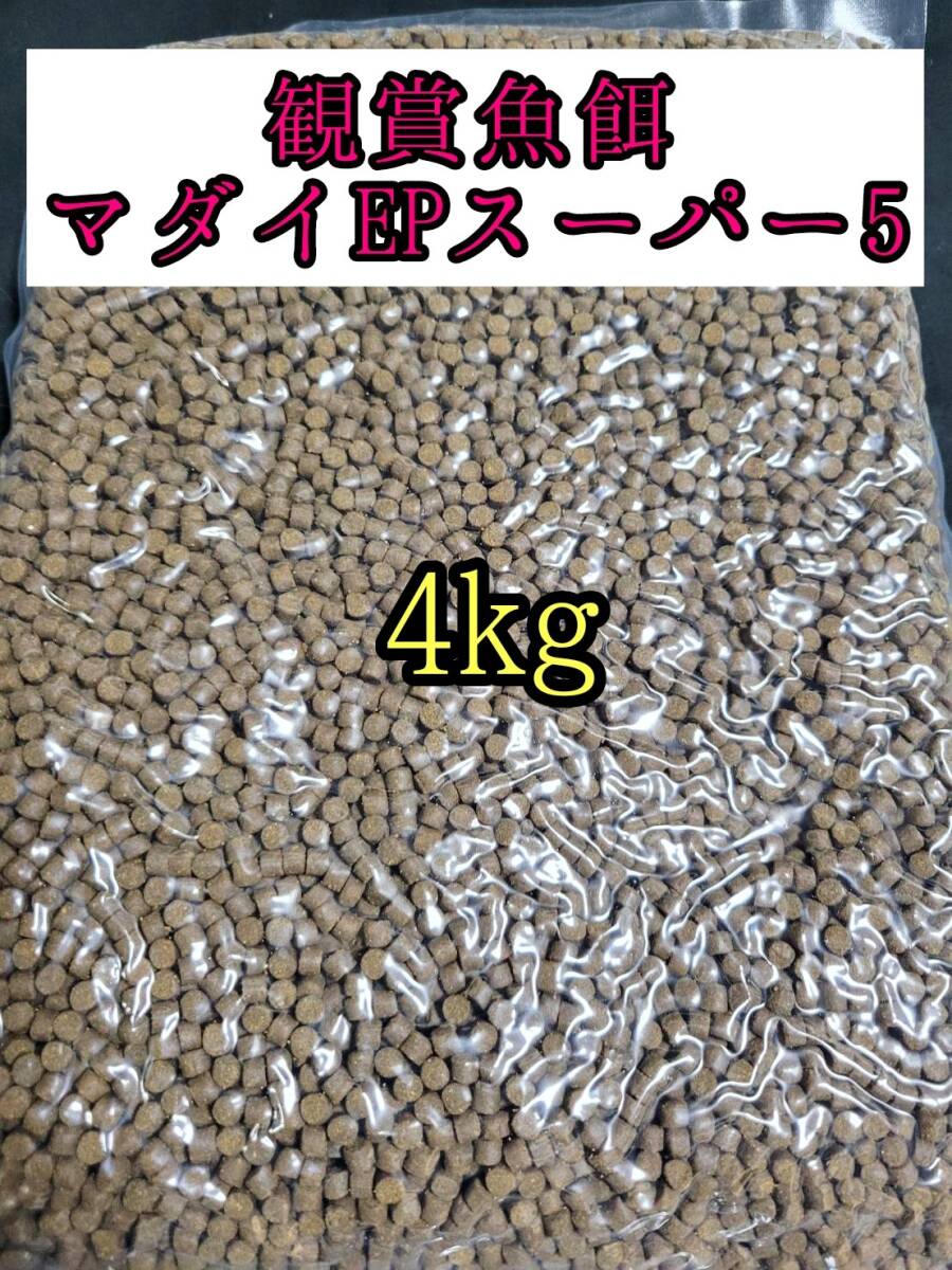 観賞魚餌 約5㎜ マダイEPスーパー5号 4kg 色揚げ 熱帯魚 おとひめ ダトニオ 錦鯉 亀拍卖