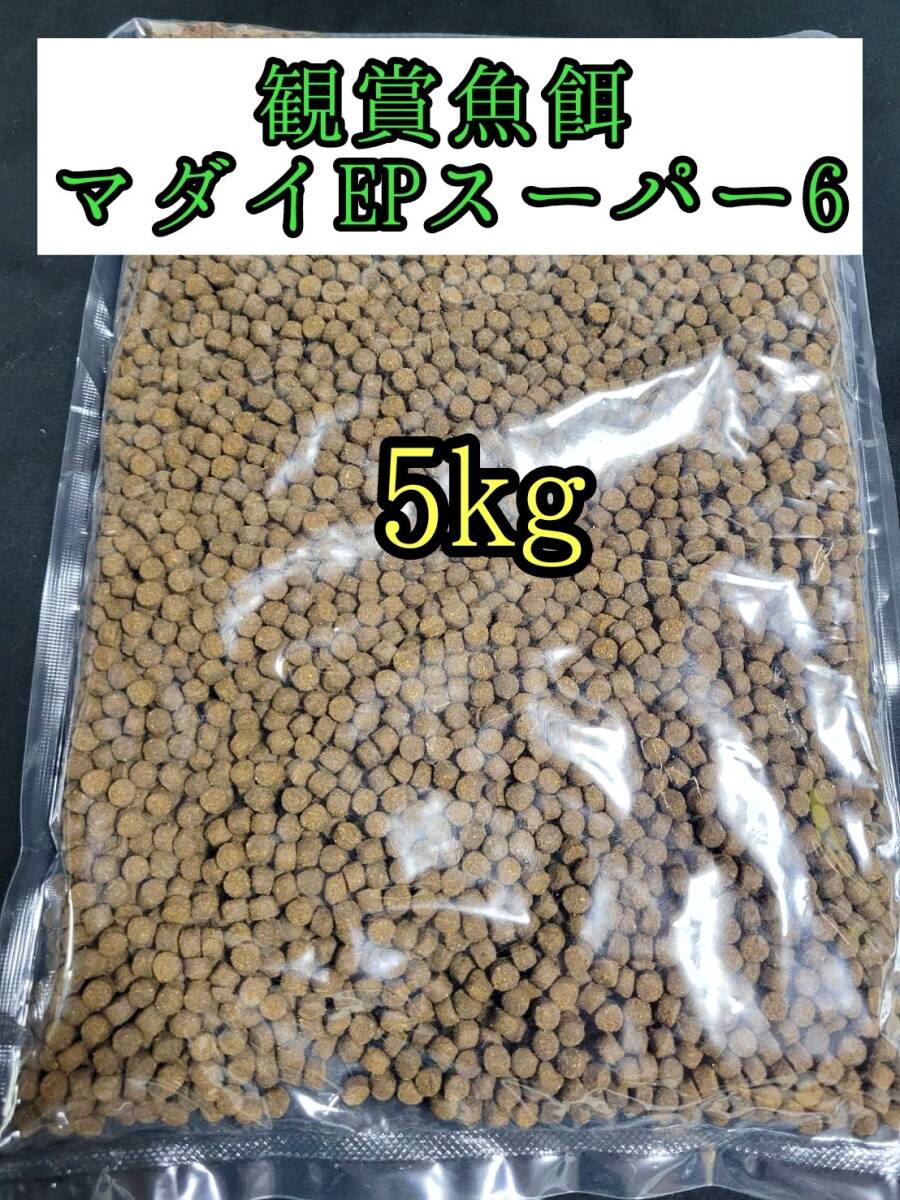観賞魚餌 約5㎜ マダイEPスーパー6号 5kg 色揚げ 熱帯魚 おとひめ ダトニオ 錦鯉 亀拍卖
