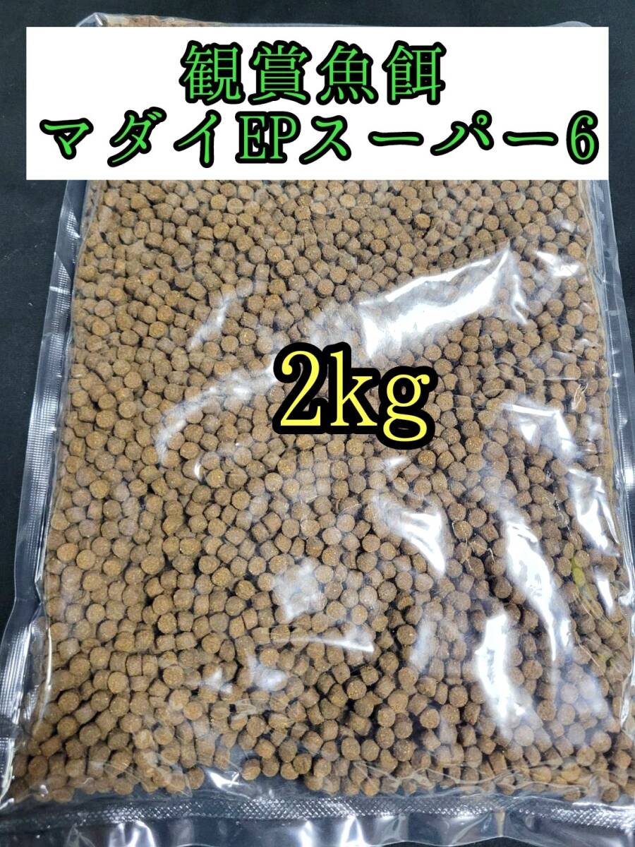 観賞魚餌 約5㎜ マダイEPスーパー6号 2kg 色揚げ 熱帯魚 おとひめ ダトニオ 錦鯉 亀拍卖