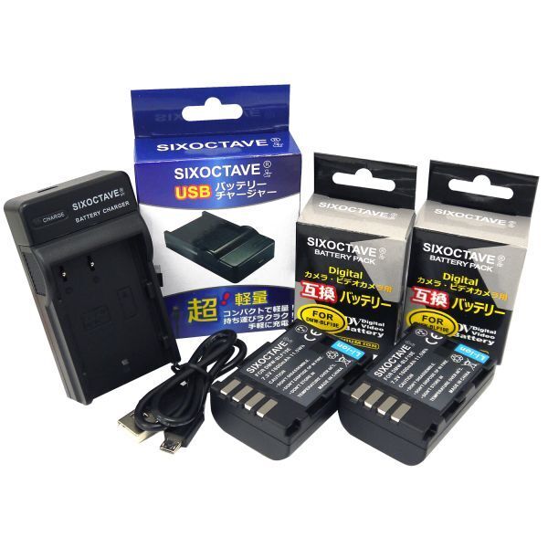 DMW-BLF19E DMW-BLF19 Panasonic パナソニック 互換バッテリー 2個と 互換USB充電器 の3点セット拍卖