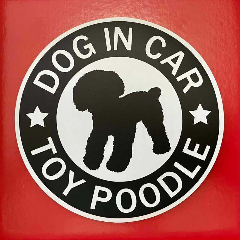 犬(トイプードル BK )マグネット ステッカー 防水 車用【匿名配送】拍卖