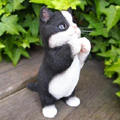 猫の置物 子猫のお願い 八割れ BW041QB キャット ガーデンオブジェ 動物 オーナメント ネコ 雑貨 ガーデン オブジェ拍卖