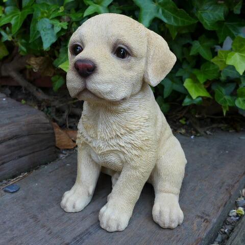 犬の置物 ラブラドール T14060 いぬ イヌ 動物 オーナメント ガーデン オブジェ 庭 雑貨 ガーデニング インテリア リアル拍卖