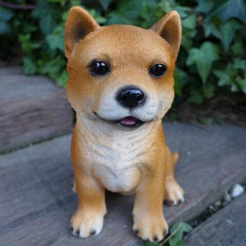 犬の置物 柴犬 いぬ イヌ 動物 9684H オーナメント ガーデン オブジェ 庭 雑貨 ガーデニング インテリア拍卖