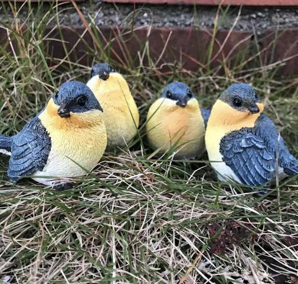 森の仲間たち ハッピーバード4羽セット N13865 小鳥 とり トリ オーナメント ガーデン オブジェ ガーデニング 置物拍卖